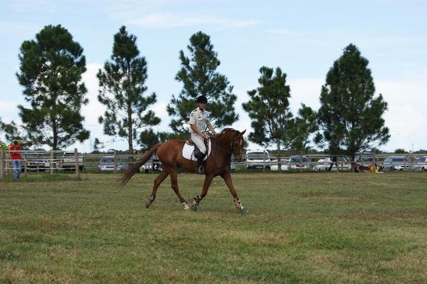 Royal Ranch Centre Equestre Matiti Cavalerie